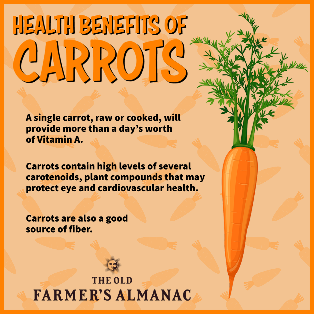 Carrot benefits shop for weight loss